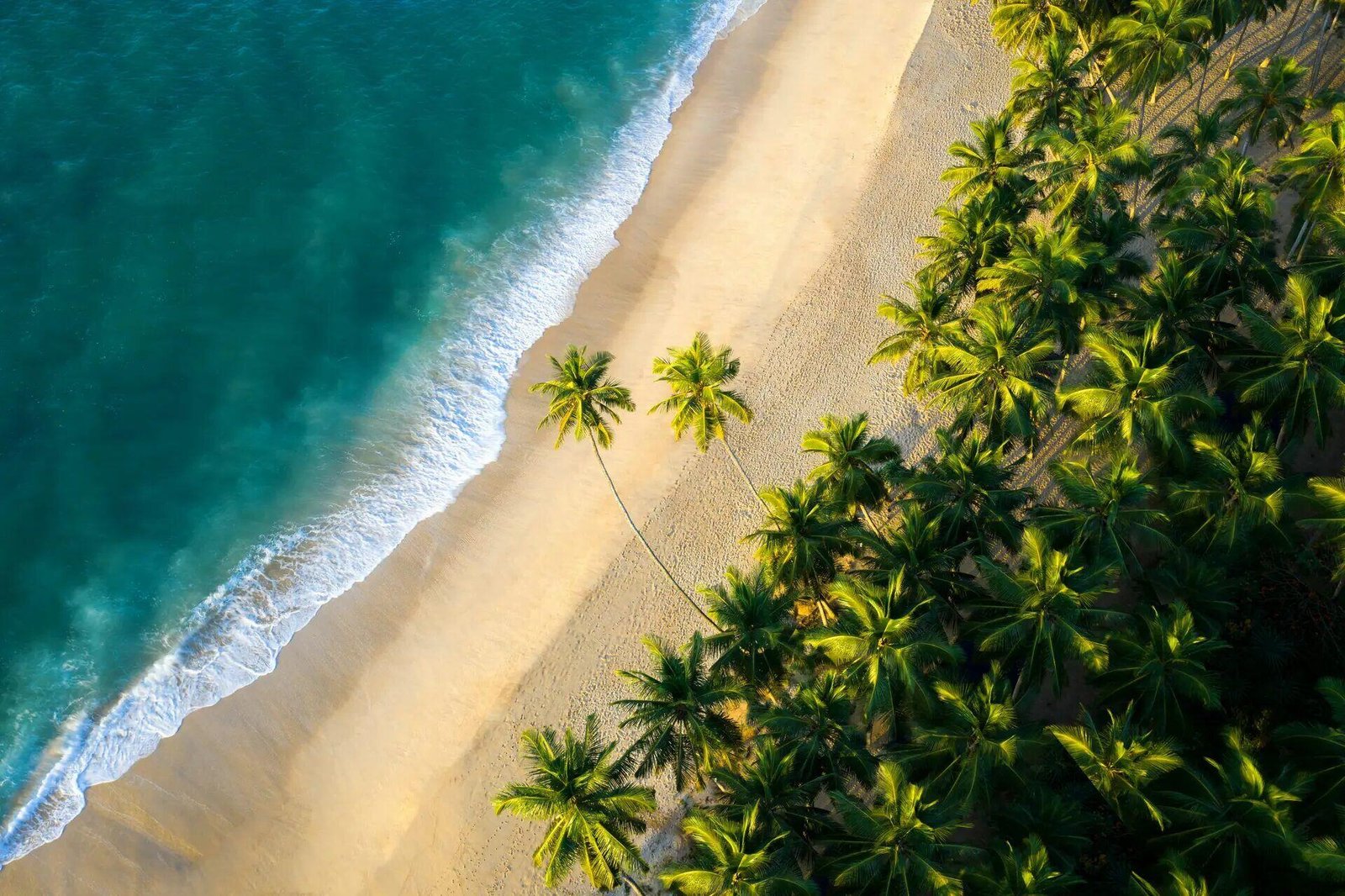 Sri Lanka Cinematic Background