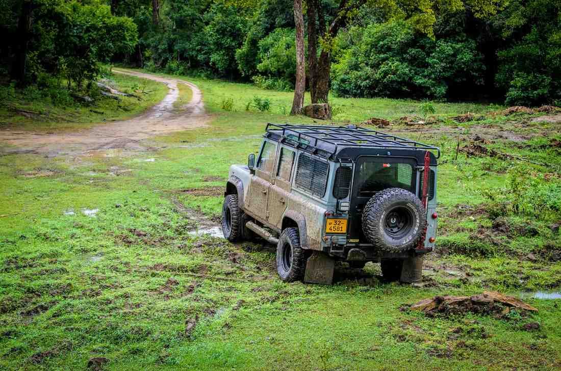 Yala National Park